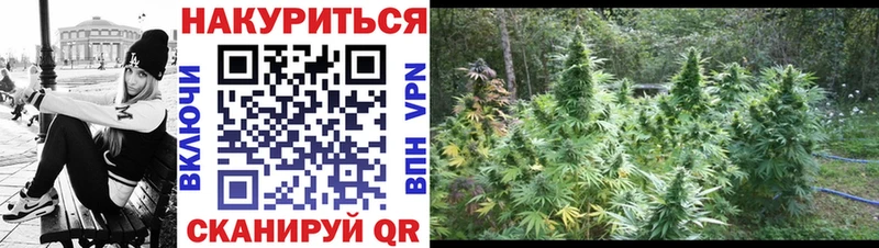 blacksprut онион  Суровикино  Бошки марихуана марихуана 